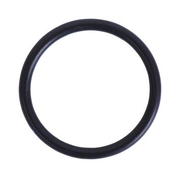 O-Ring 1"