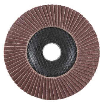 Preview: Fächerscheibe