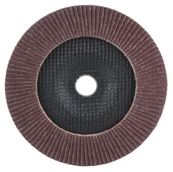 Preview: Fächerscheibe