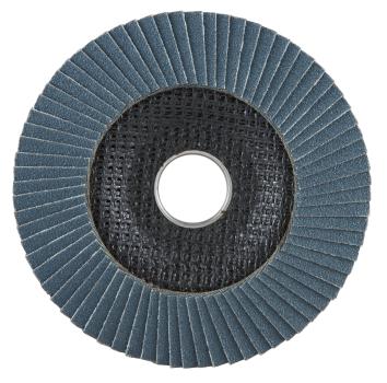 Preview: Fächerscheibe