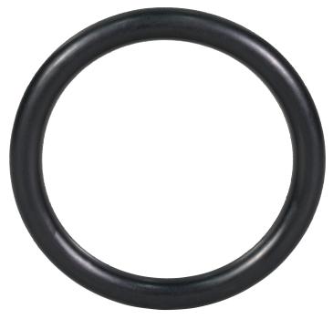 O-Ring 1