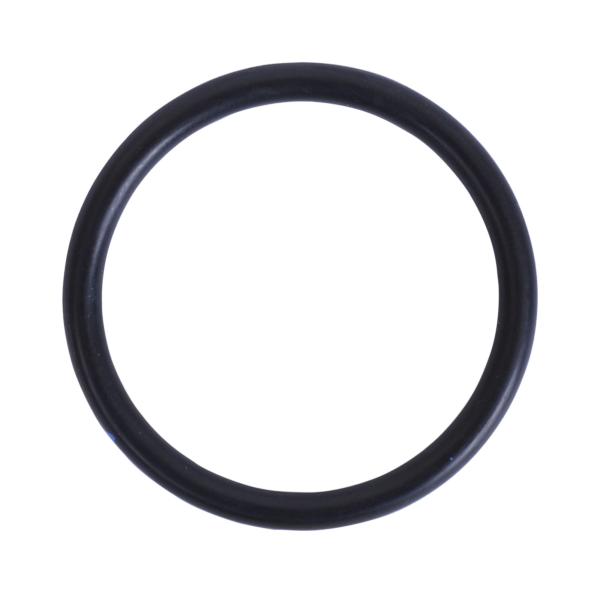 O-Ring 1"