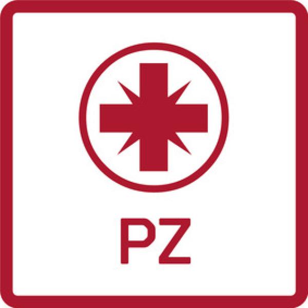 GEDORE R38300219 2K-Schraubendreher PZ2 100 mm