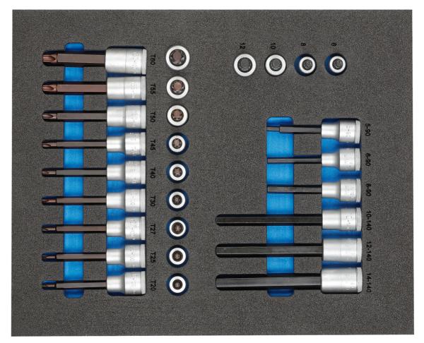 GEDORE TS CT2-ITX19 Satz Schraubendrehereinsätze 1/2 in 2/4 Check-Tool-Modul"